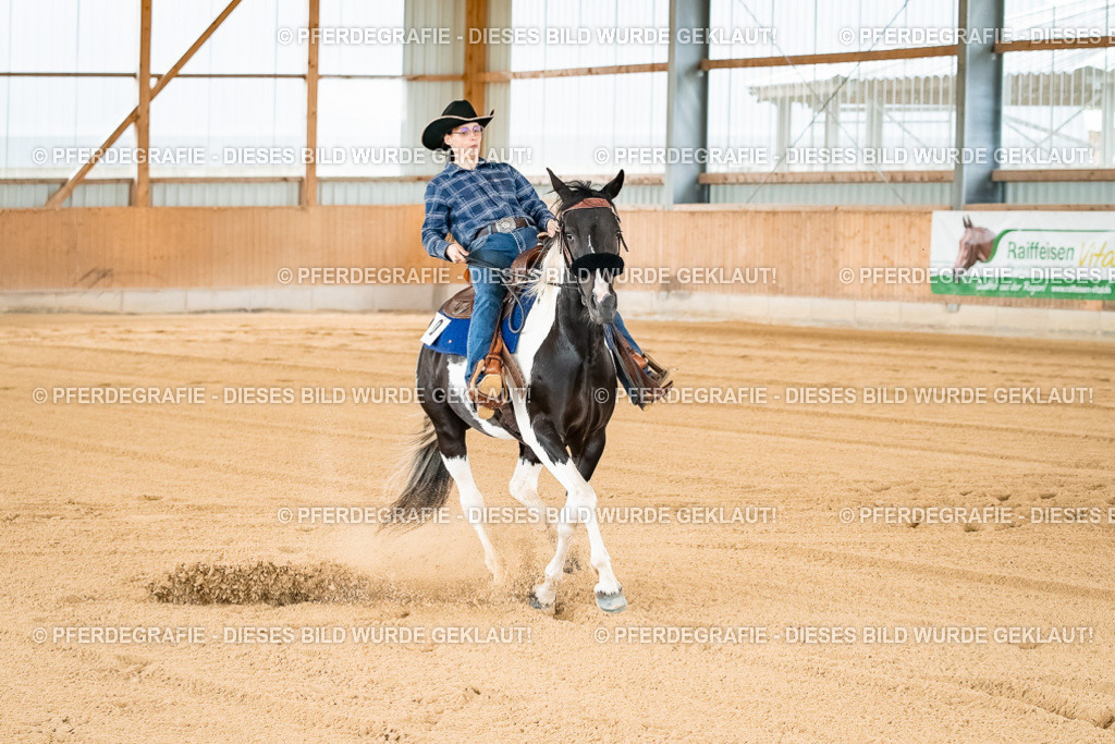 DSC02721 | Pferdegrafie