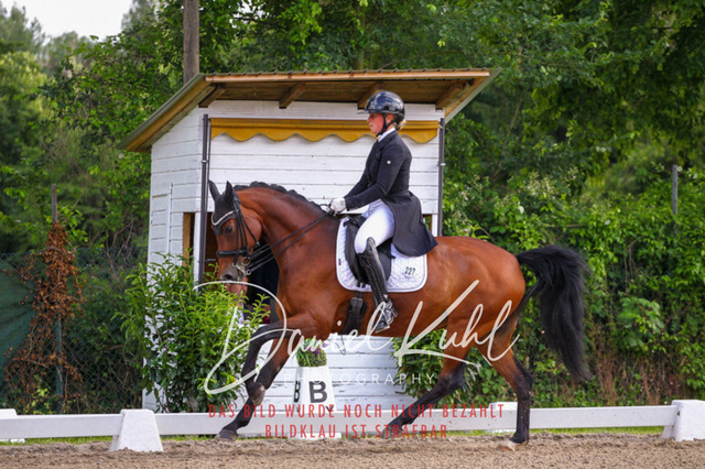 DKP41630 | Deine Turnierfotos vom Reitturnier online kaufen: Dressur, Springen & Siegerehrung. Professionelle Pferdefotografie aus dem Rheinland – als Download & Print.Alternative: Turnierfotograf für den Pferdesport: Finde deine Fotos von Dressur- und Springturnier