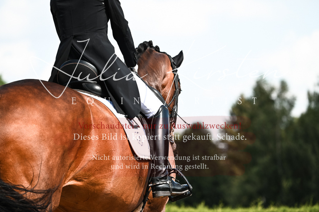 DSC_3040 | Pferde- und Turnierfotografie in Westsachsen. Pferdeportraits, Auftragszeichnungen und intuitive Kunst.