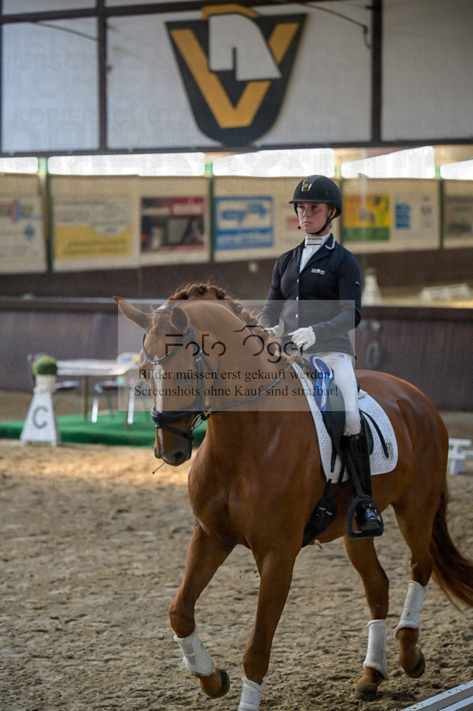 Reitturnier Voxtrup | Entdecke hochwertige Reitturnierfotos von Foto Oger. Professionell, emotional und authentisch – jetzt Lieblingsmomente im Shop bestellen.Deutschlandweite Turnierfotografie. - Realisiert mit Pictrs.com