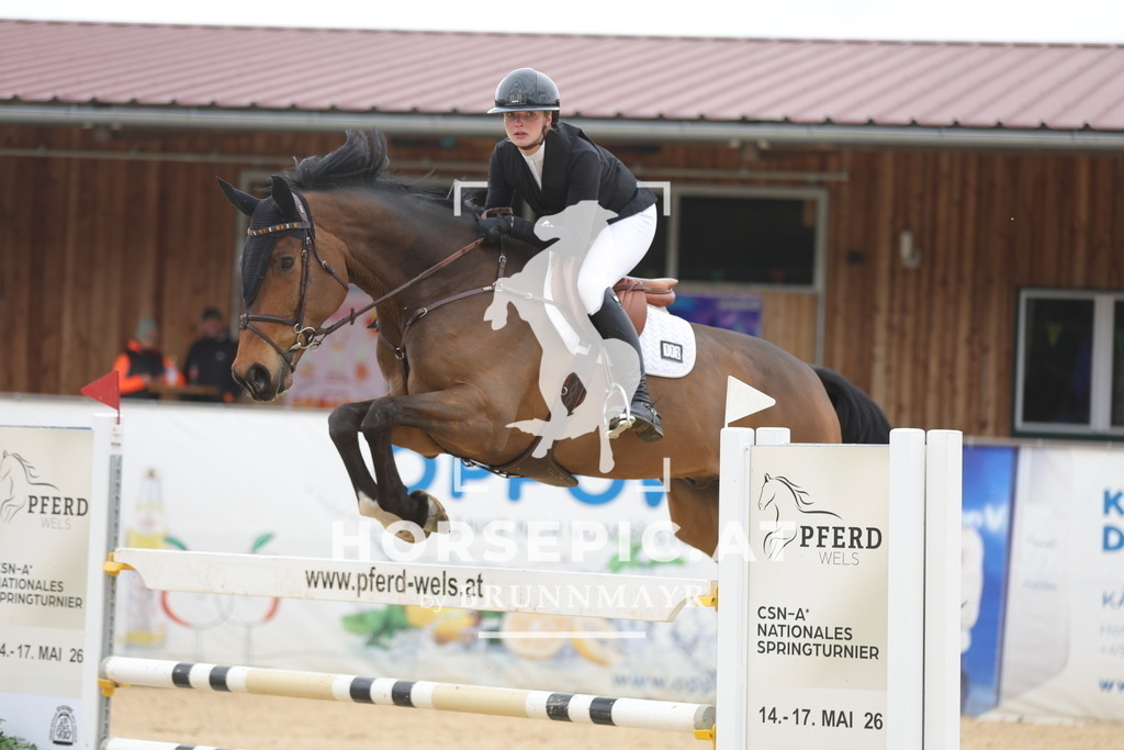 0P6A2121 | Willkommen bei Brunnmayr - Design & Fotografie – Ihrem Spezialisten für Reitturniere und Pferdeveranstaltungen in Oberösterreich, Salzburg und Bayern! Seit über 17 Jahren sind wir leidenschaftlich dabei.