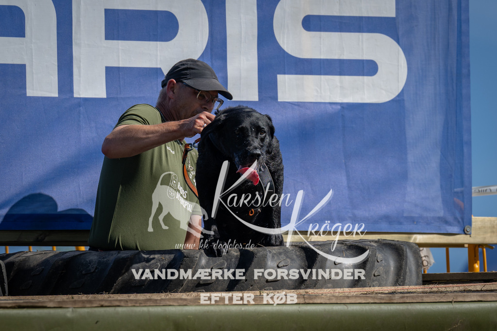 1046_ZZ99019 | kk-dogfotos