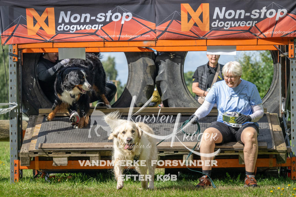 1548_ZZ94294 | kk-dogfotos