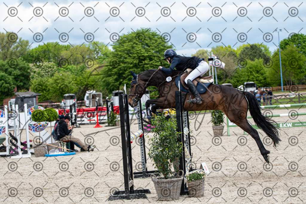 KPT_5758 | andre_photographic