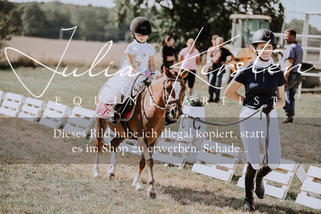 DSC_9183 | Pferde- und Turnierfotografie in Westsachsen. Pferdeportraits, Auftragszeichnungen und intuitive Kunst.