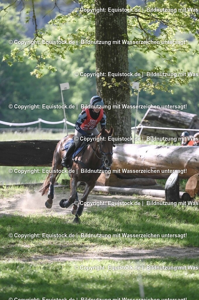 20250517_CCI2_Gelände_0689 | Foto: Thomas Hartig