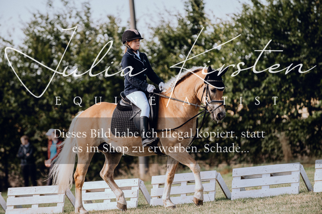 DSC_6976 | Pferde- und Turnierfotografie in Westsachsen. Pferdeportraits, Auftragszeichnungen und intuitive Kunst.