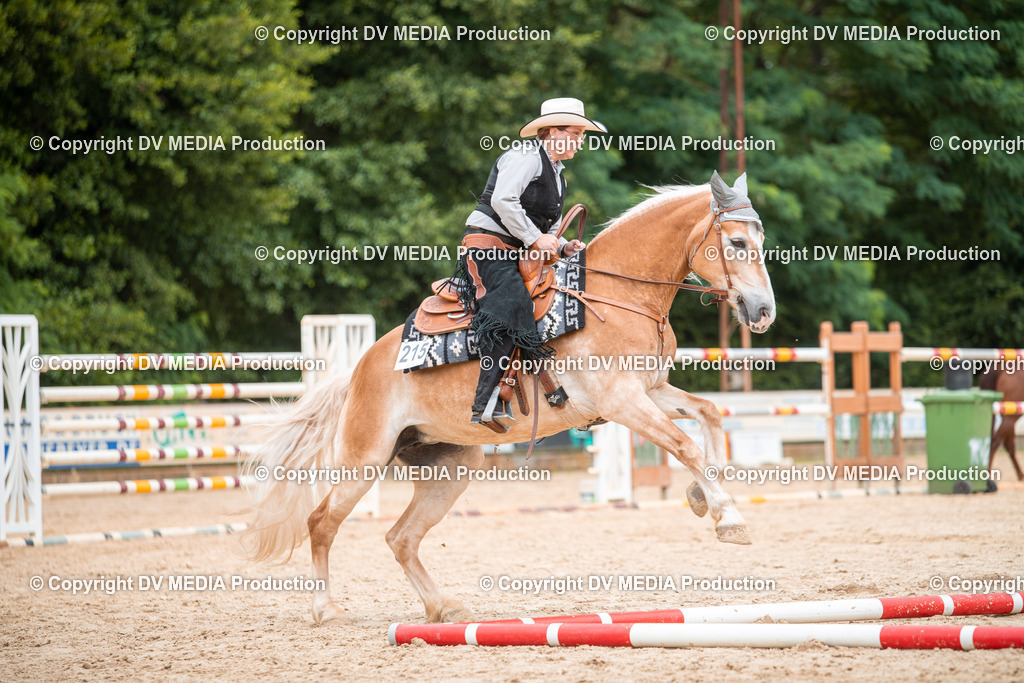 ZS2_8161 | dv-media-shop - Realisiert mit Pictrs.com