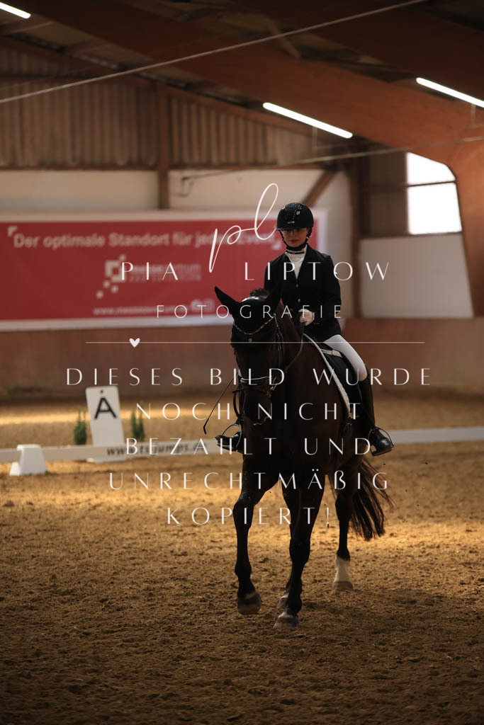 IMGT8546 | pl-fotografie