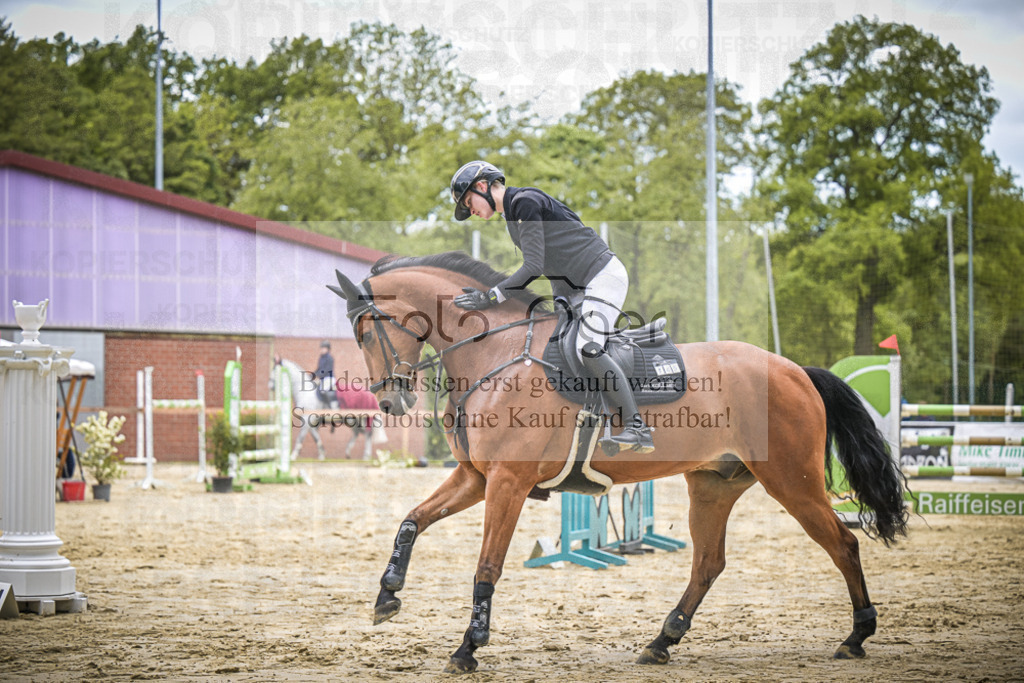 DOS_9942 | Entdecke hochwertige Reitturnierfotos von Foto Oger. Professionell, emotional und authentisch – jetzt Lieblingsmomente im Shop bestellen.Deutschlandweite Turnierfotografie. - Realisiert mit Pictrs.com