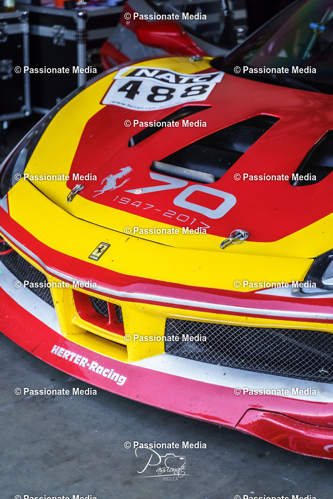 _DSC0904 | Passionate Media, dein Fotograf aus Brandenburg, Märkisch Oderland, im Bereich Motorsport, Autos und Motorräder sowie Events und auch Hunde. Shootings oder auch Eventbegleitungen können bei mir gebucht we