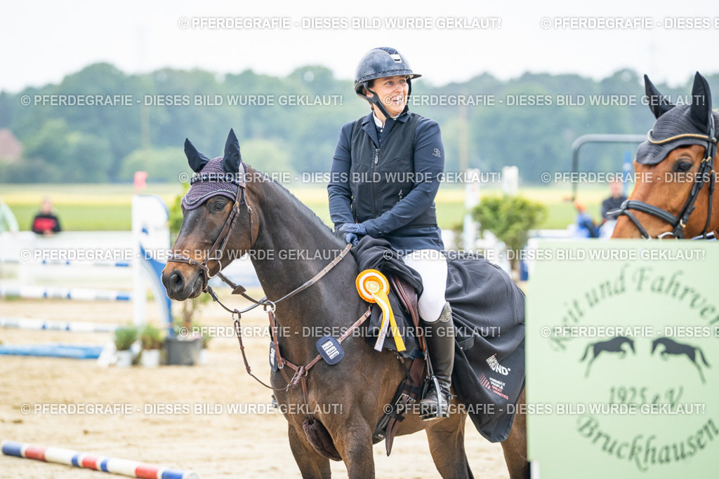 DSC03094 | Pferdegrafie