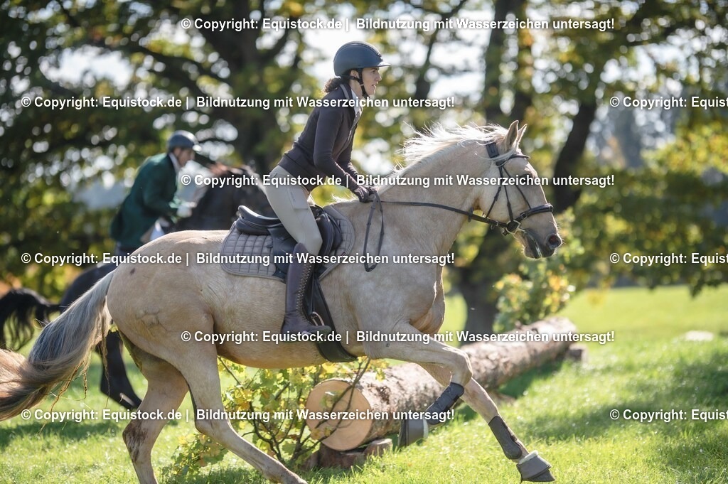 20251011_Jagd-Marbach_0417 | Foto: Thomas Hartig