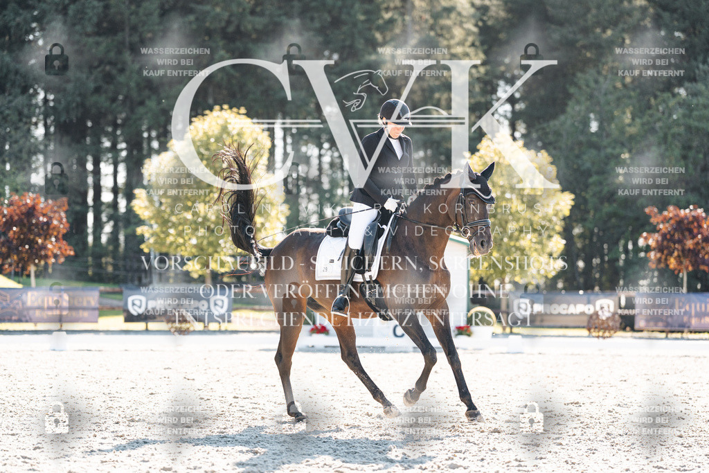 CK906389 | Turnierfotografie Pferdefotografie Trier Rheinland-Pfalz Pferdesport Reitsport Tierfotografie Sportfotografie Pferdevideo Pferdevideografie Equestrianvideography equestrianphotography  - Realisiert mit Pictrs.com