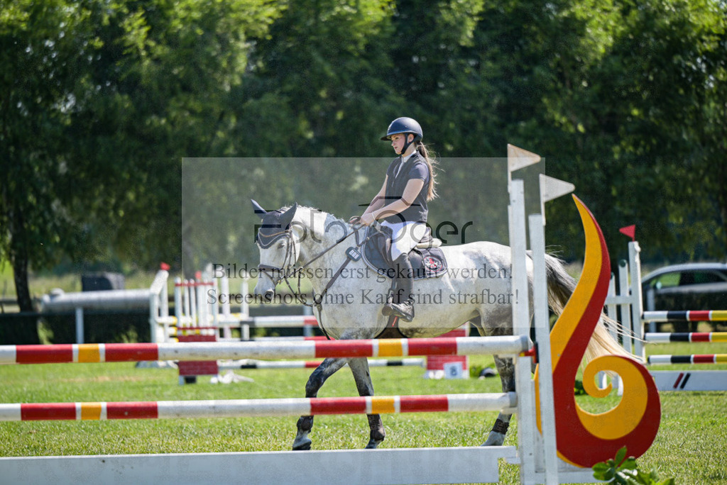 Reitturnier Voxtrup | Entdecke hochwertige Reitturnierfotos von Foto Oger. Professionell, emotional und authentisch – jetzt Lieblingsmomente im Shop bestellen. - Realisiert mit Pictrs.com
