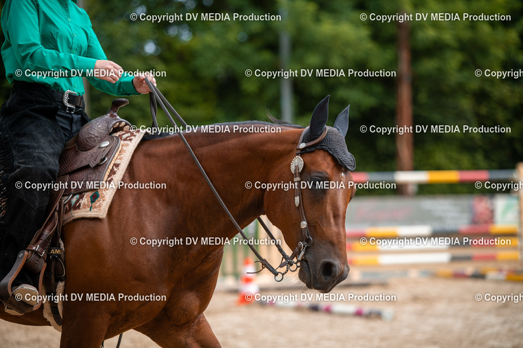 ZS2_7727 | dv-media-shop - Realisiert mit Pictrs.com