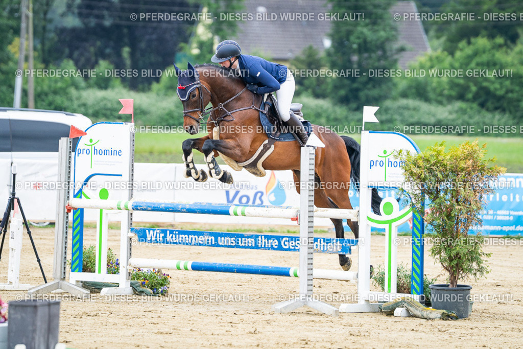 DSC03324 | Pferdegrafie