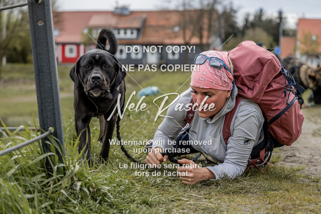 NR__2579 | nelerasche