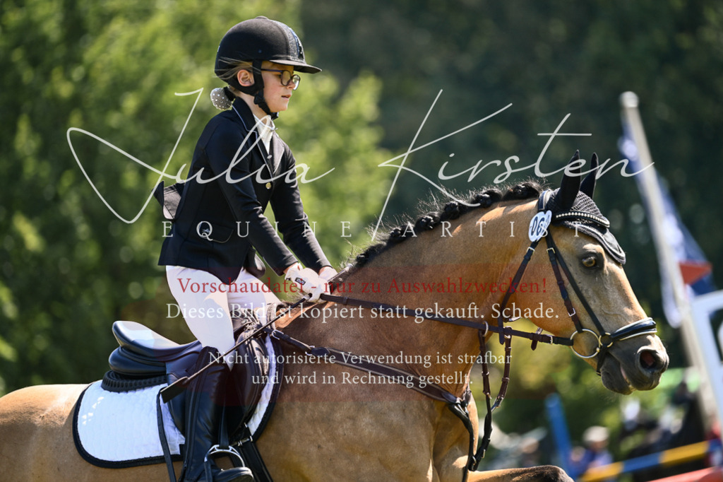 DSC_8814 | Pferde- und Turnierfotografie in Westsachsen. Pferdeportraits, Auftragszeichnungen und intuitive Kunst.