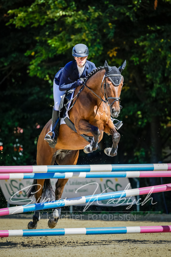 20250906-_3LI3864 | Tierfotografie Pferde, Hunde, Katzen, Haustiere.
Turnierfotografie Reitturniere, Reiten, Springreiten, Dressur in Hanau, dem Main-Kinzig-Kreis und dem Rhein-Main- Gebiet um Frankfurt