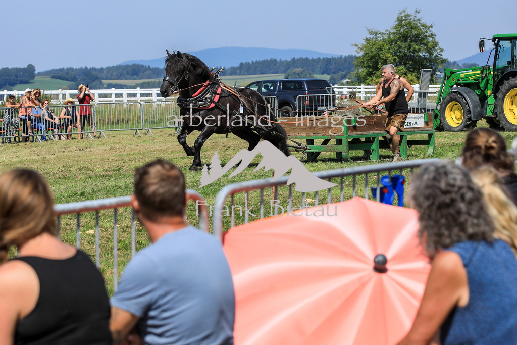 OE7A5751 | Medien- Sport- Entertainmentfotos