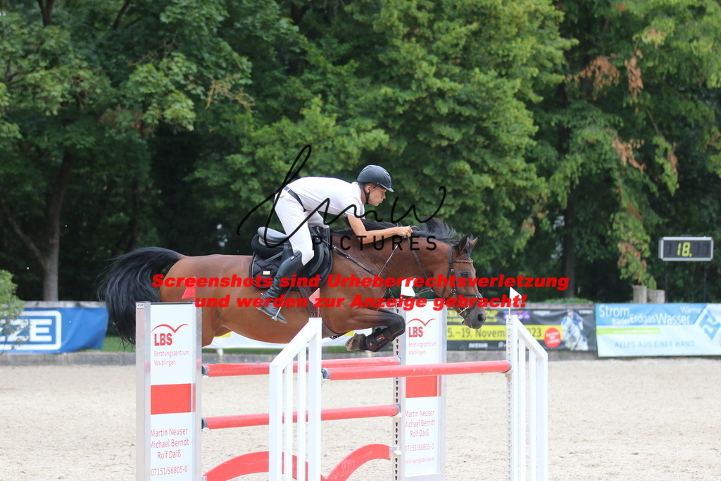 IMG_8126 | lmwpictures - Realisiert mit Pictrs.com