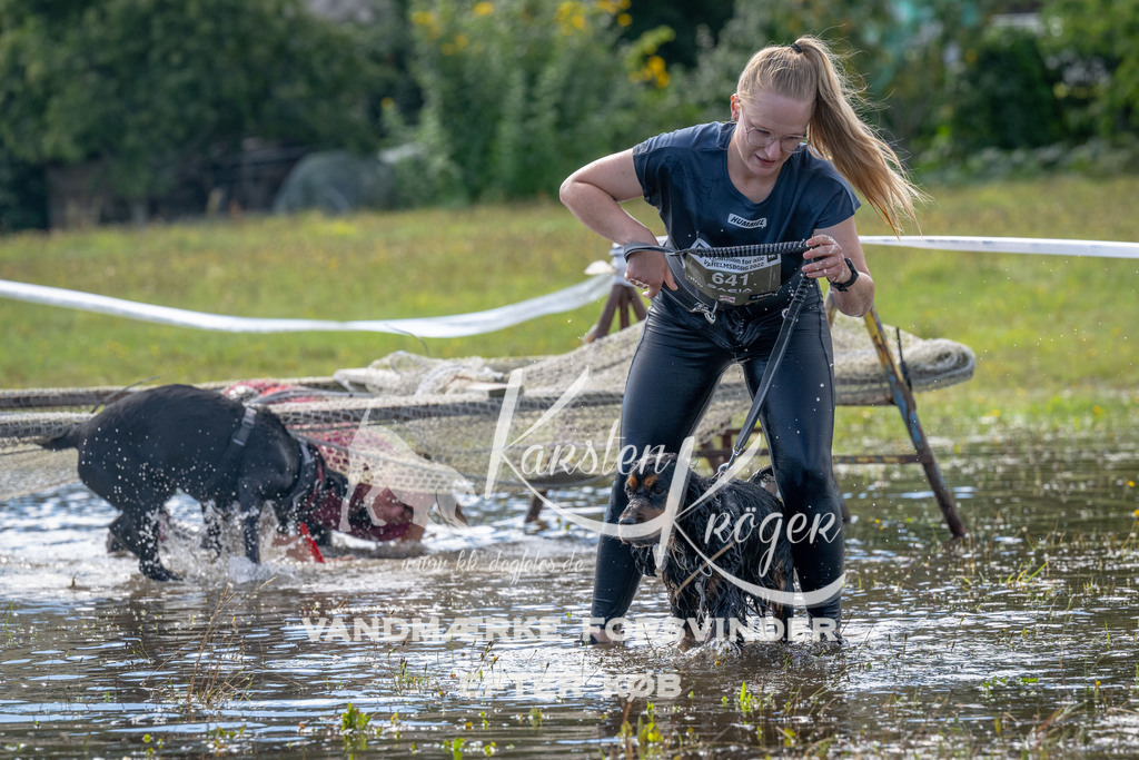 1239_ZZ91306 | kk-dogfotos