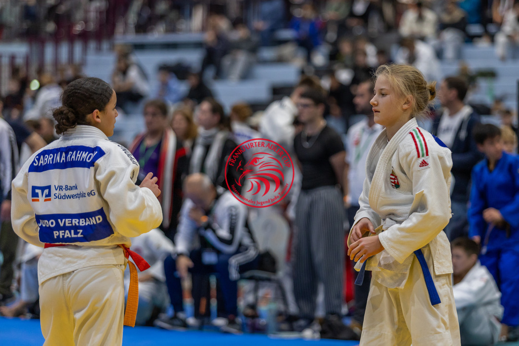 Internationaler Adler Cup 2024 | Foto vom Internationalen Adler Cup Judo Turnier im Sport- und Freizeitzentrum Kalbach im Oktober 2024 - Realisiert mit Pictrs.com