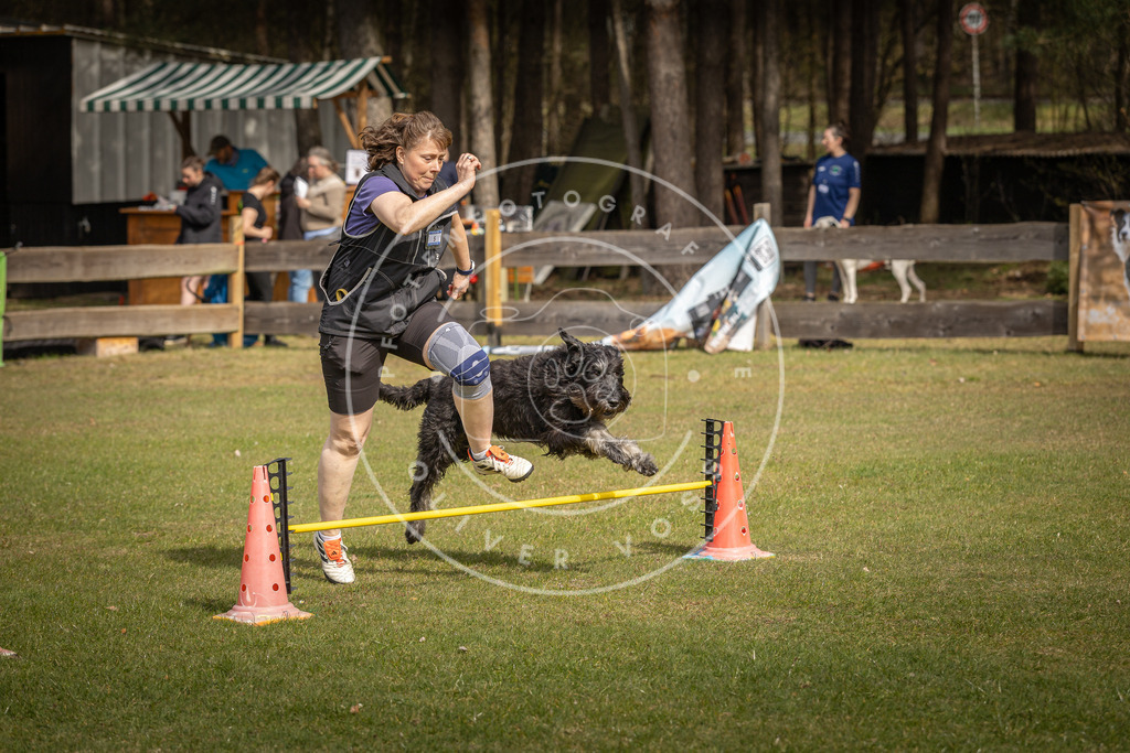 Pfotenfotografie_DV3A9224 | Hundefotografie, Tierfotograf, Pfotenfotografie, Fotoshooting Hund, Hunde Portrait, Hundesport, Hundeportraits, Heideshooting, Hunde, Sportfotograf, Hundefotograf, Turnierhundsport, THS,  - Realisiert mit Pictrs.com