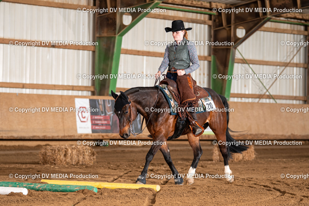 Balingen Tag 2-1903 | dv-media-shop - Realisiert mit Pictrs.com