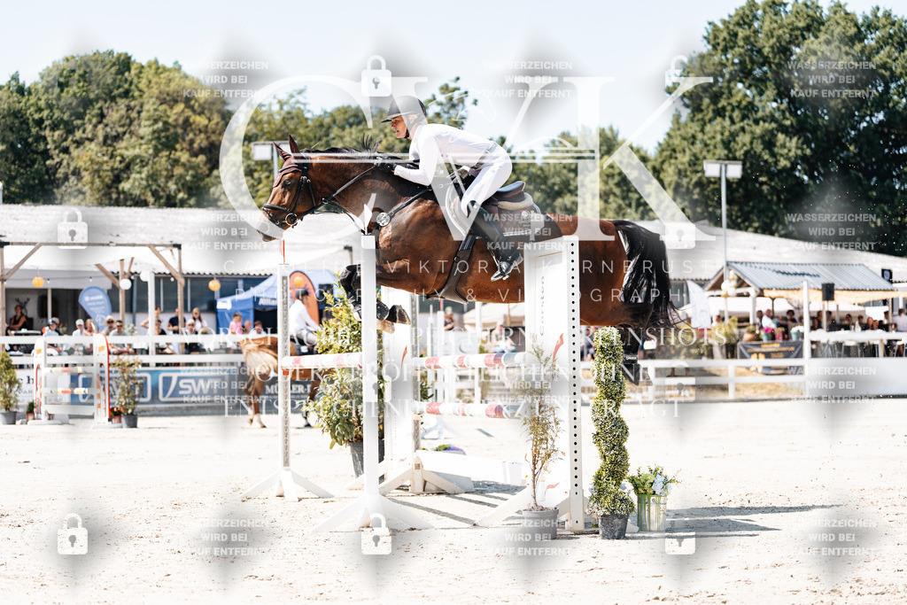 CK909511 | Turnierfotografie Pferdefotografie Trier Rheinland-Pfalz Pferdesport Reitsport Tierfotografie Sportfotografie Pferdevideo Pferdevideografie Equestrianvideography equestrianphotography  - Realisiert mit Pictrs.com