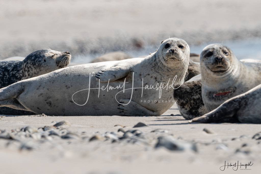 DSC04077 | Landschaftsfotografie, Naturfotografie - Realisiert mit Pictrs.com