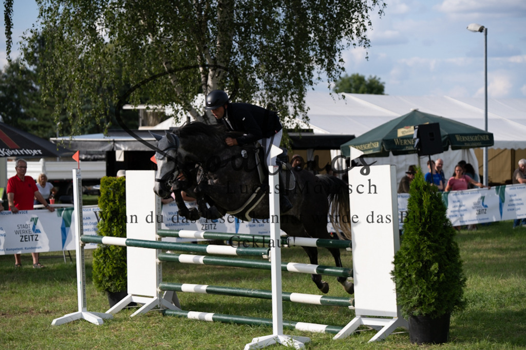 A7V04995 | Pferdefotograf