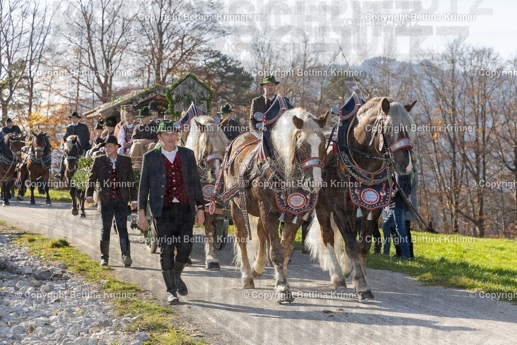 LBT24-1263 | Professionelle Fotografin mit Fachgeschäft in Lenggries & im Landkreis Bad Tölz Wolfratshausen. Hochzeitsreportage, Familienfotos, Newborn-, Babybauch-, Pass- & Businessfotos.Alles Rund ums Foto