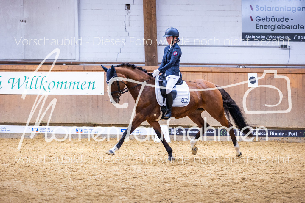 Sth-A-Dre-2St-217 | MomenTaufnahmen Pferdesportfotos