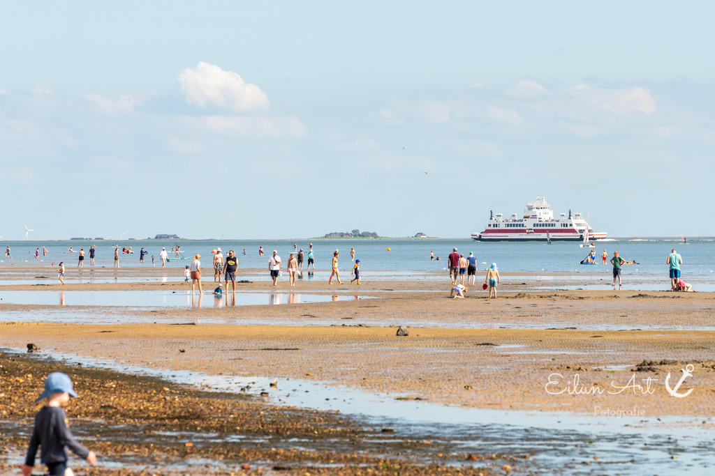 EAF_2136 | Eilun-Art-Fotografie Levke Martens, ihre Fotografin für Immobilien- und Landschaftsfotografie auf Föhr, Föhrer Motive als Poster, Leinwand, hinter Acrylglas oder stelle dir deinen eigenen Monatskalender zusammen, mit nur einem Klick