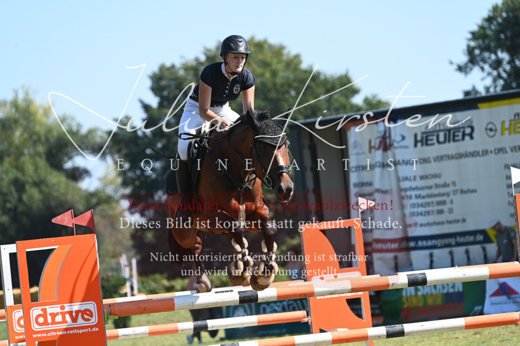 DSC_6432 | Pferde- und Turnierfotografie in Westsachsen. Pferdeportraits, Auftragszeichnungen und intuitive Kunst.