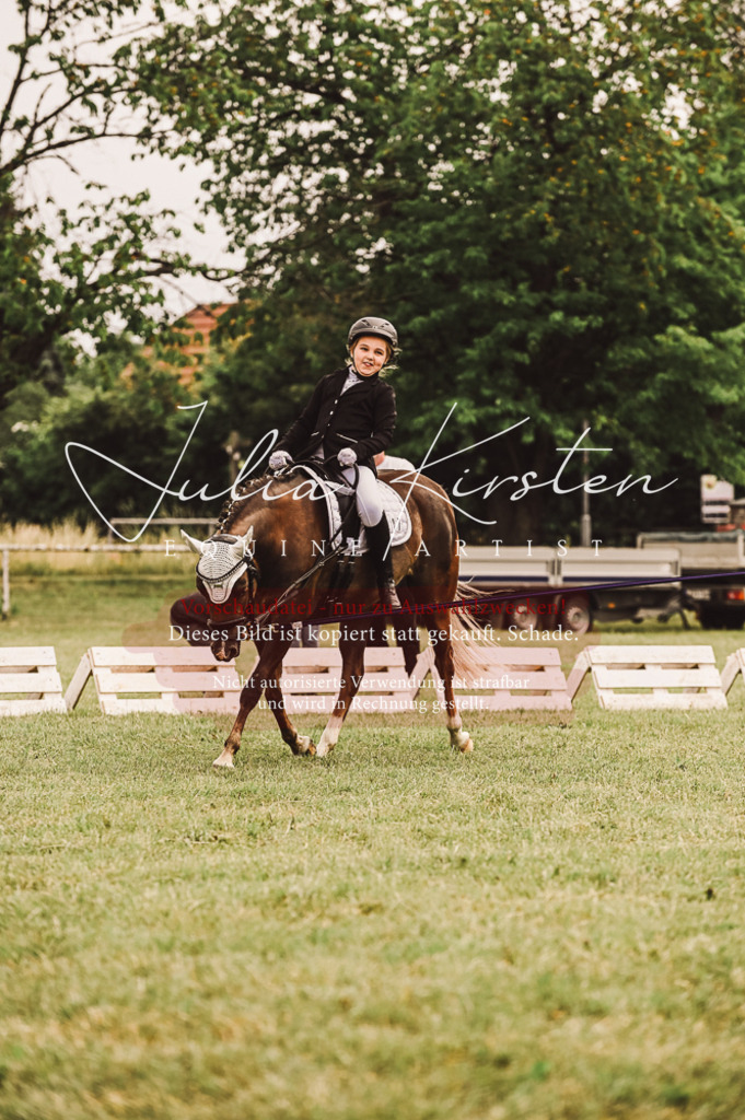 DSC_5234 | Pferde- und Turnierfotografie in Westsachsen. Pferdeportraits, Auftragszeichnungen und intuitive Kunst.