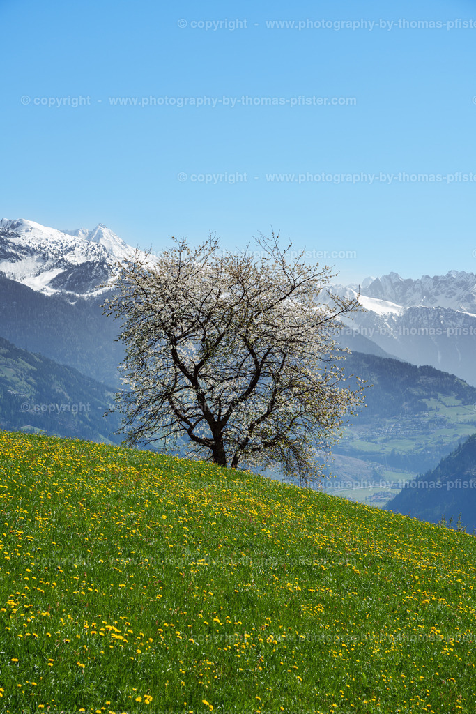 Stummerberg Blick taleinwärts copyright  Thomas Pfister-2 | PHOTOGRAPHY BY THOMAS PFISTER