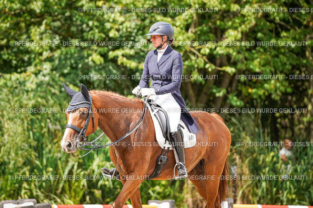 DSC06396 | Pferdegrafie