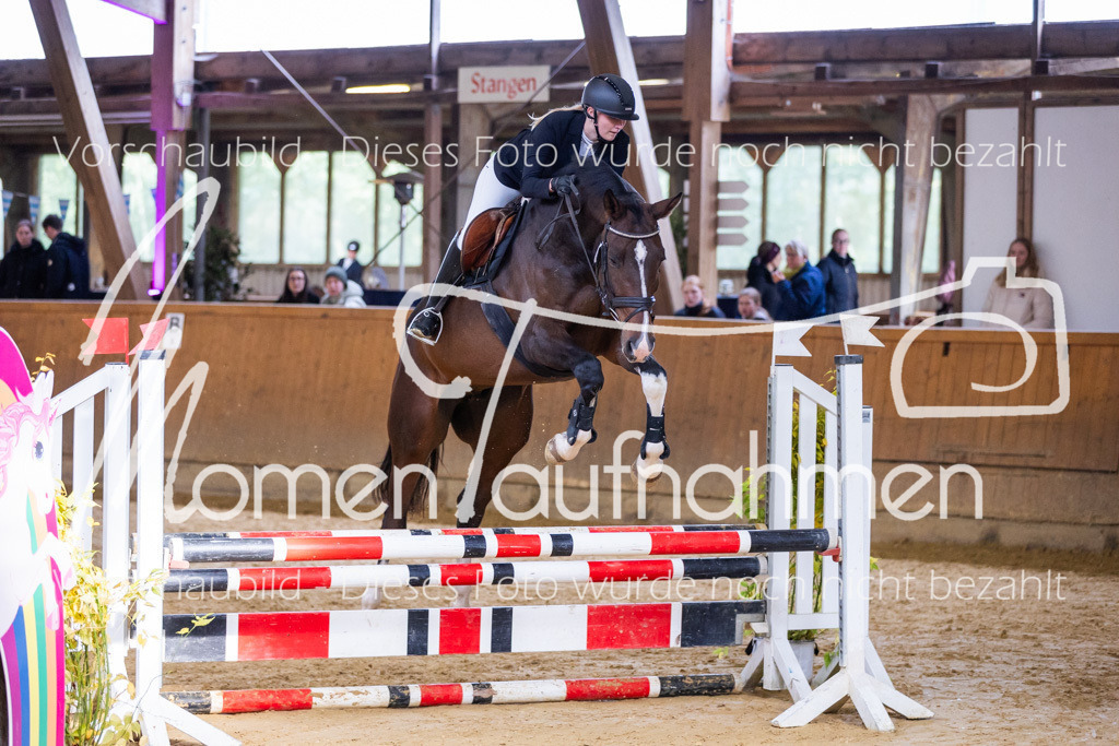 Sth-A-Springen-061 | MomenTaufnahmen Pferdesportfotos