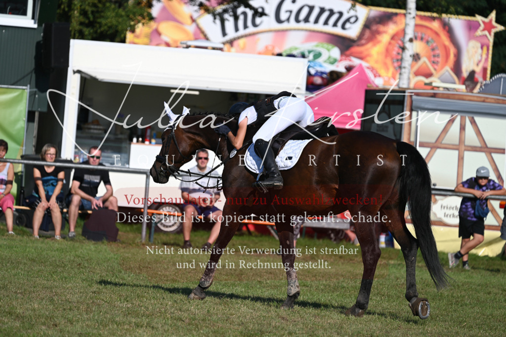 DSC_4941 | Pferde- und Turnierfotografie in Westsachsen. Pferdeportraits, Auftragszeichnungen und intuitive Kunst.