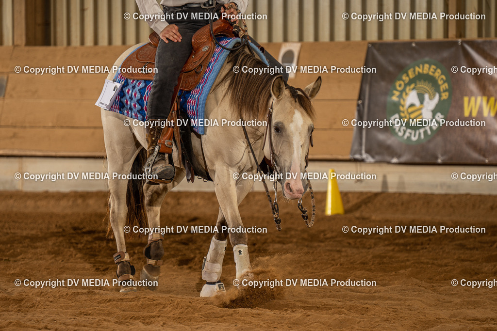 NID02086 | dv-media-shop - Realisiert mit Pictrs.com