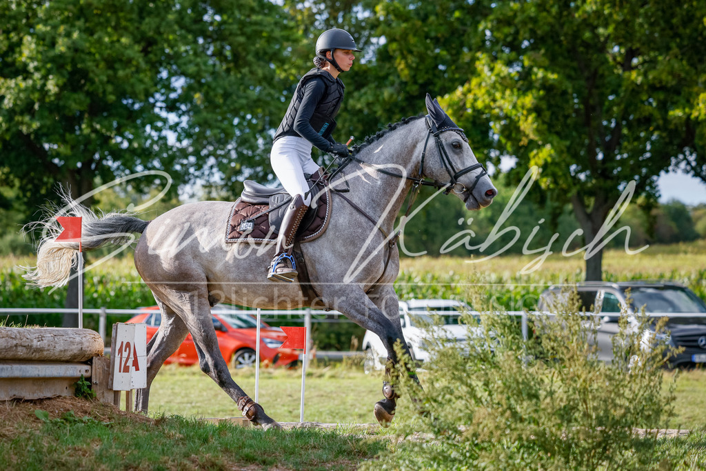 20250905-_3LI2331 | Tierfotografie Pferde, Hunde, Katzen, Haustiere.
Turnierfotografie Reitturniere, Reiten, Springreiten, Dressur in Hanau, dem Main-Kinzig-Kreis und dem Rhein-Main- Gebiet um Frankfurt