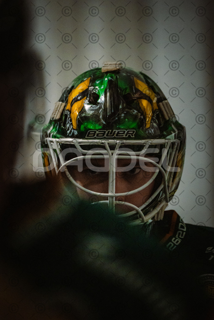 Alligatros_vs_Leipzig_11_09_2026-23 | Die Fotogalerie von Daddel: professionelle Bilder von Sport, Events und Unternehmen aus Franken. Jetzt Galerien durchstöbern und Lieblingsfotos bestellen. - Realisiert mit Pictrs.com