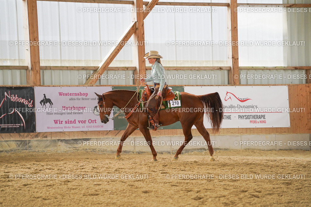 DSC05023 | Pferdegrafie