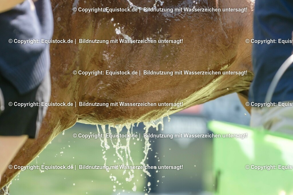 20230527_27_CCI4_Gelände_0189 | equistock