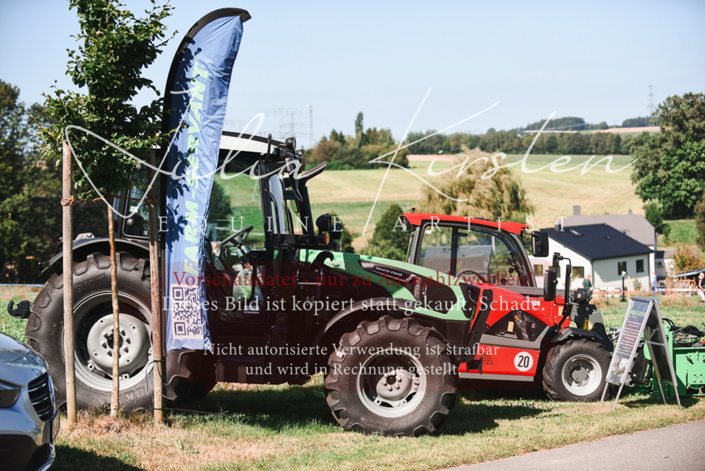 DSC_2668 | Pferde- und Turnierfotografie in Westsachsen. Pferdeportraits, Auftragszeichnungen und intuitive Kunst.
