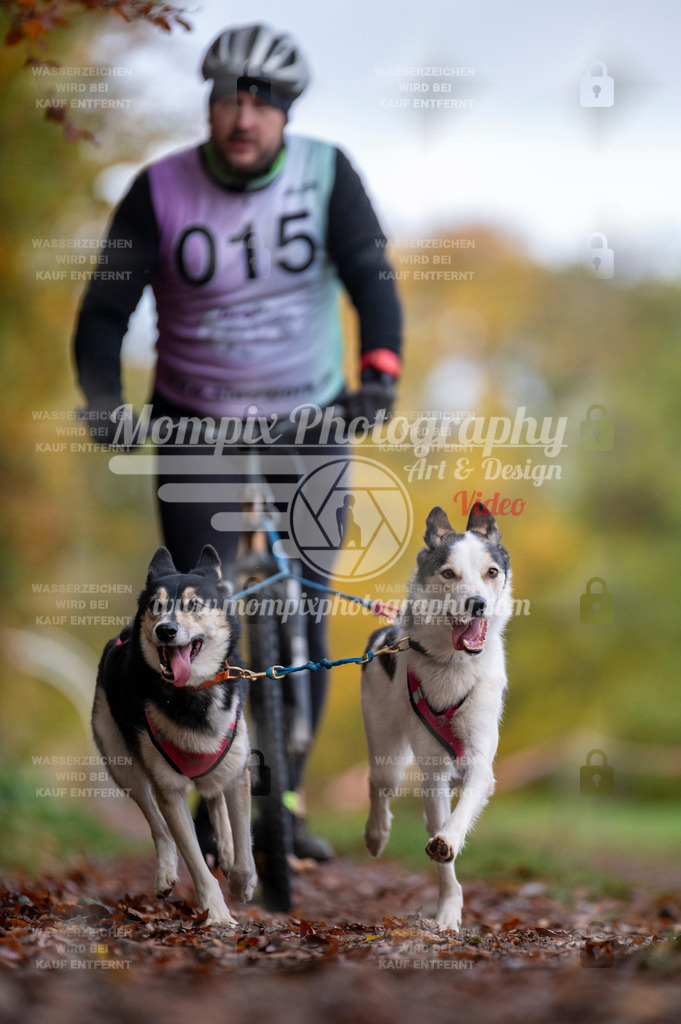 DBT_DAKM_SA_4_11_2023_DS2-48 | PayLife