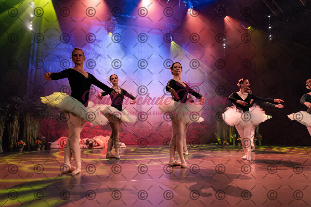 Ballettaufführung-1102 | Bildershop Lem'n Entertainment - Realisiert mit Pictrs.com